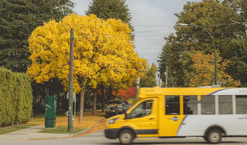 A TransLink HandyDART drives through a residential neighborhood with vibrant autumn foliage.